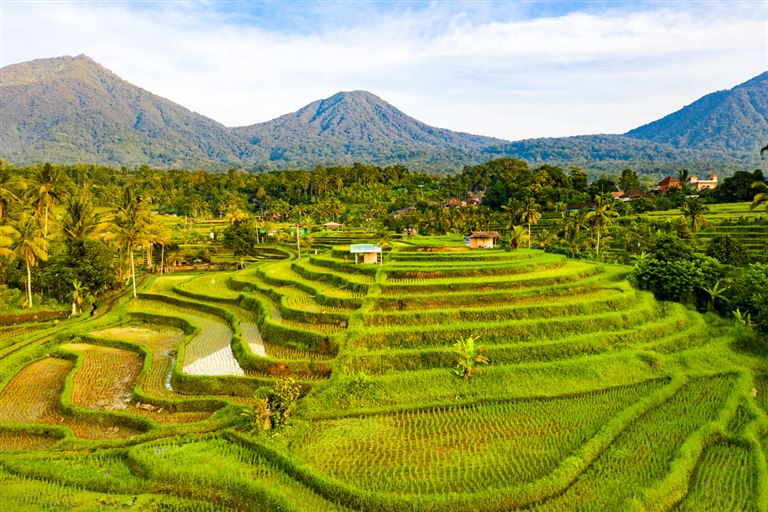 Bali zwischen Kultur und Strand genießen ©Andrey Danilovich/istock
